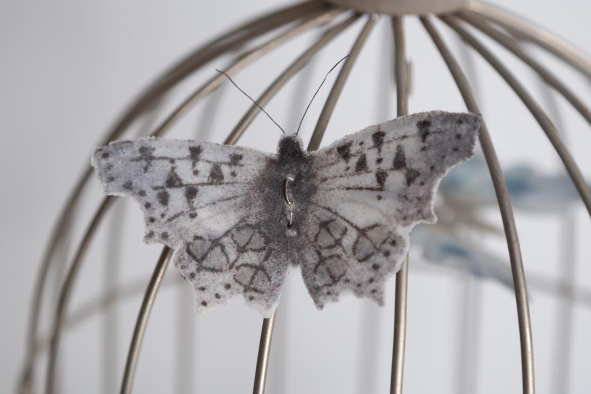 Butterfly Brain