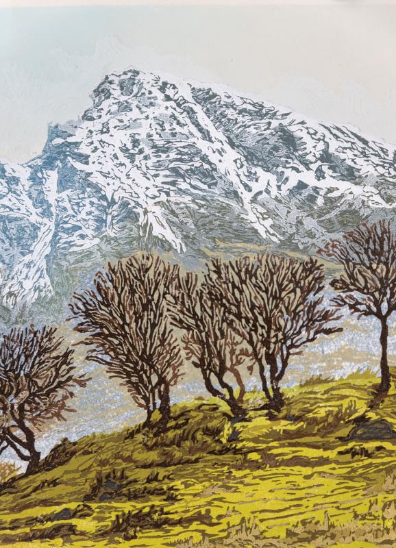 'Spring Awakes the Birches'