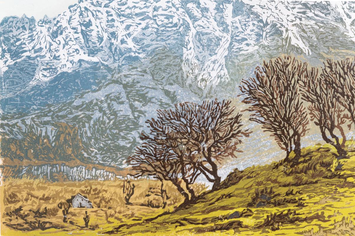 'Spring Awakes the Birches'