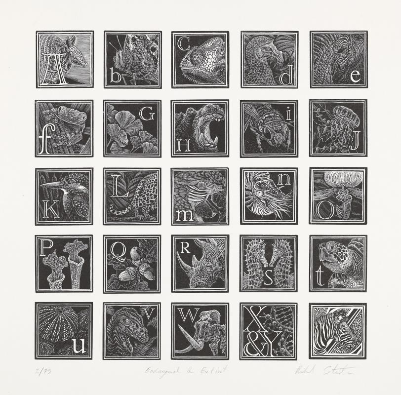 Endangered & Extinct - An Engravers Alphabet