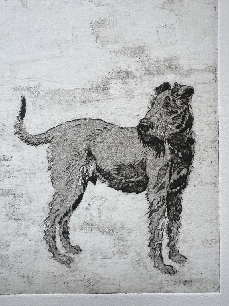 Jasper the Irish Terrier