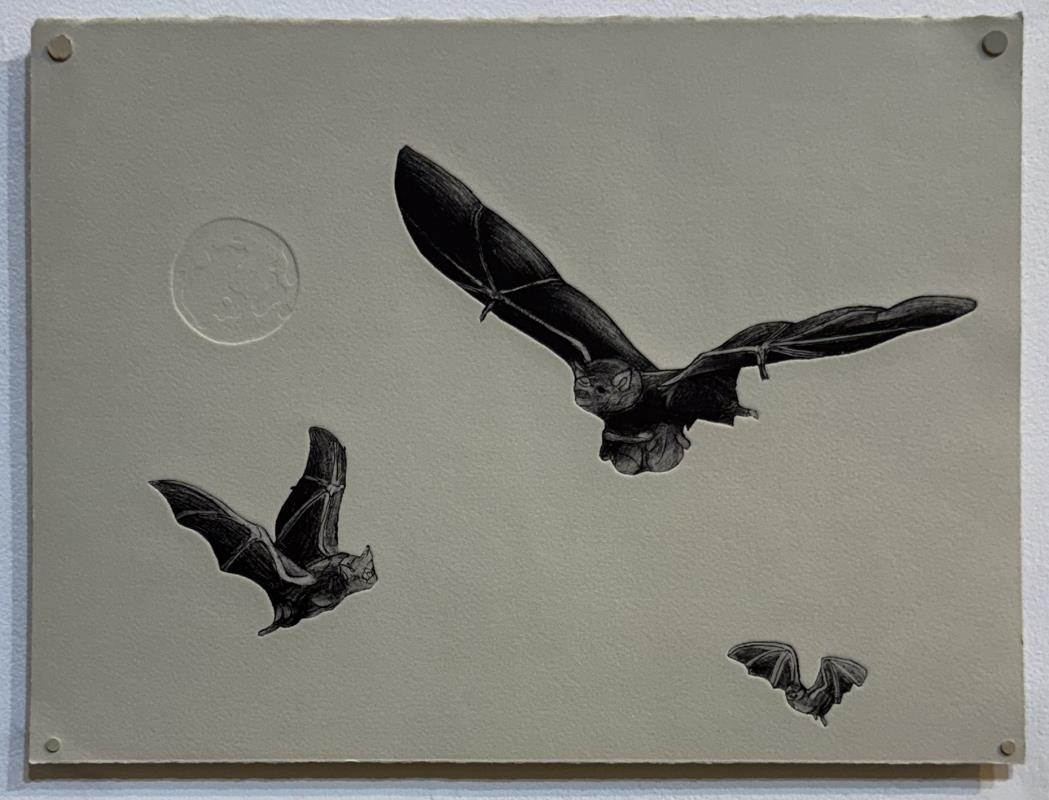 Night Flight