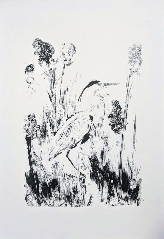 Egret