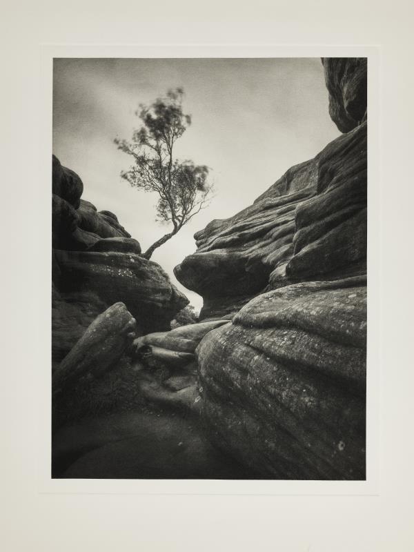 Brigham Rocks