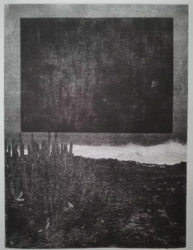 Variable Shoreline #15