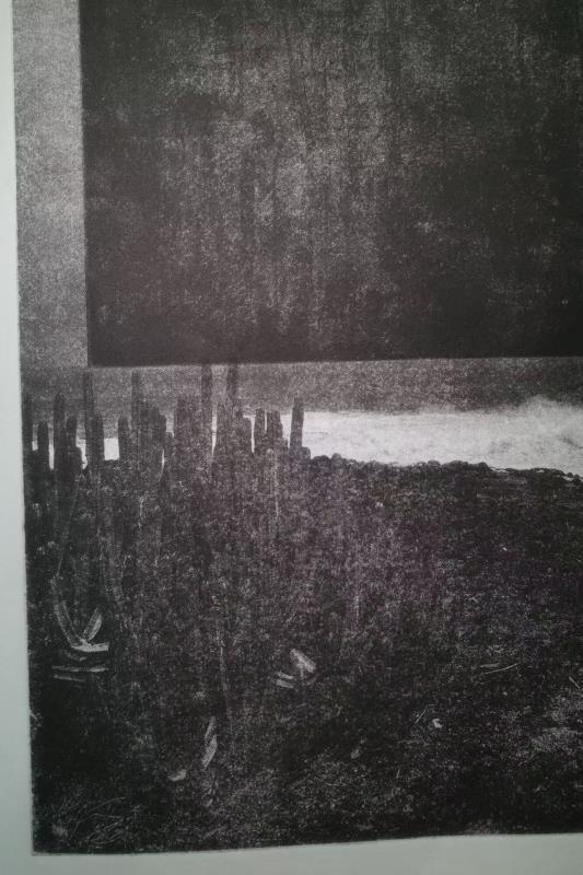 Variable Shoreline #15
