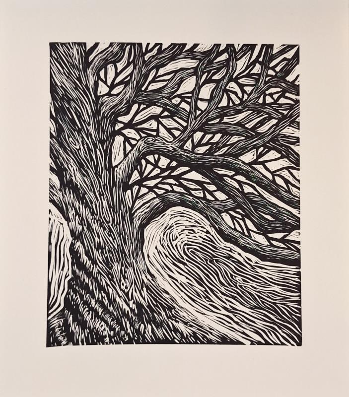 Oak