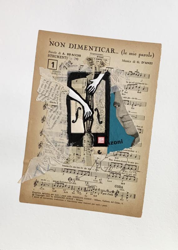“Cello”, Musici series