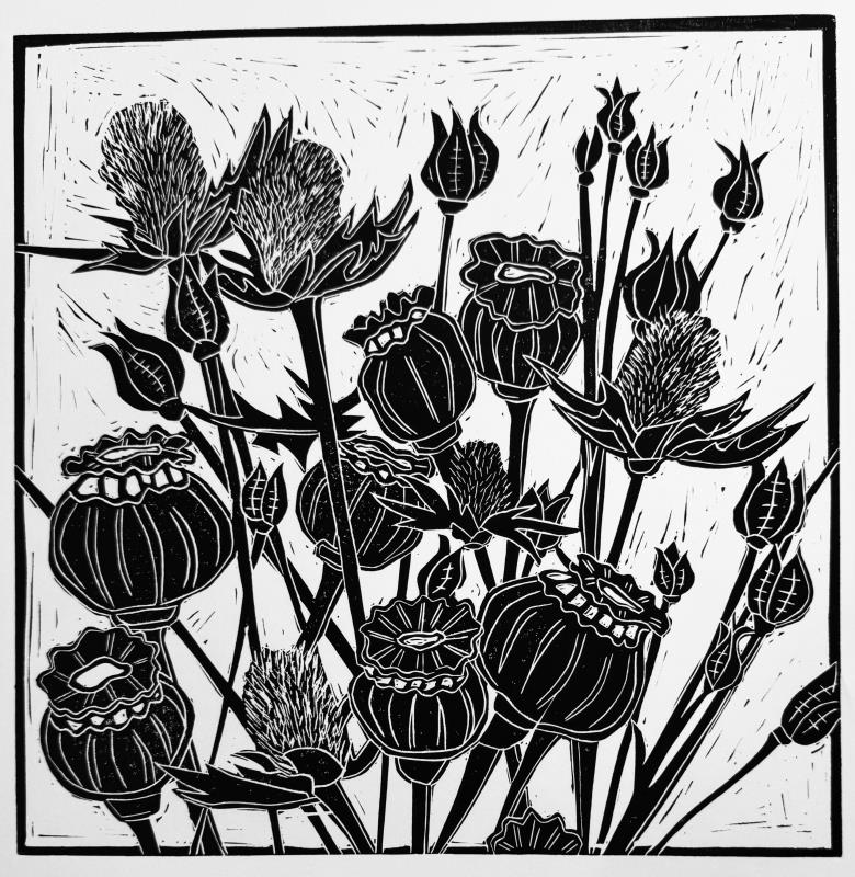 Thistles and Seed Pods