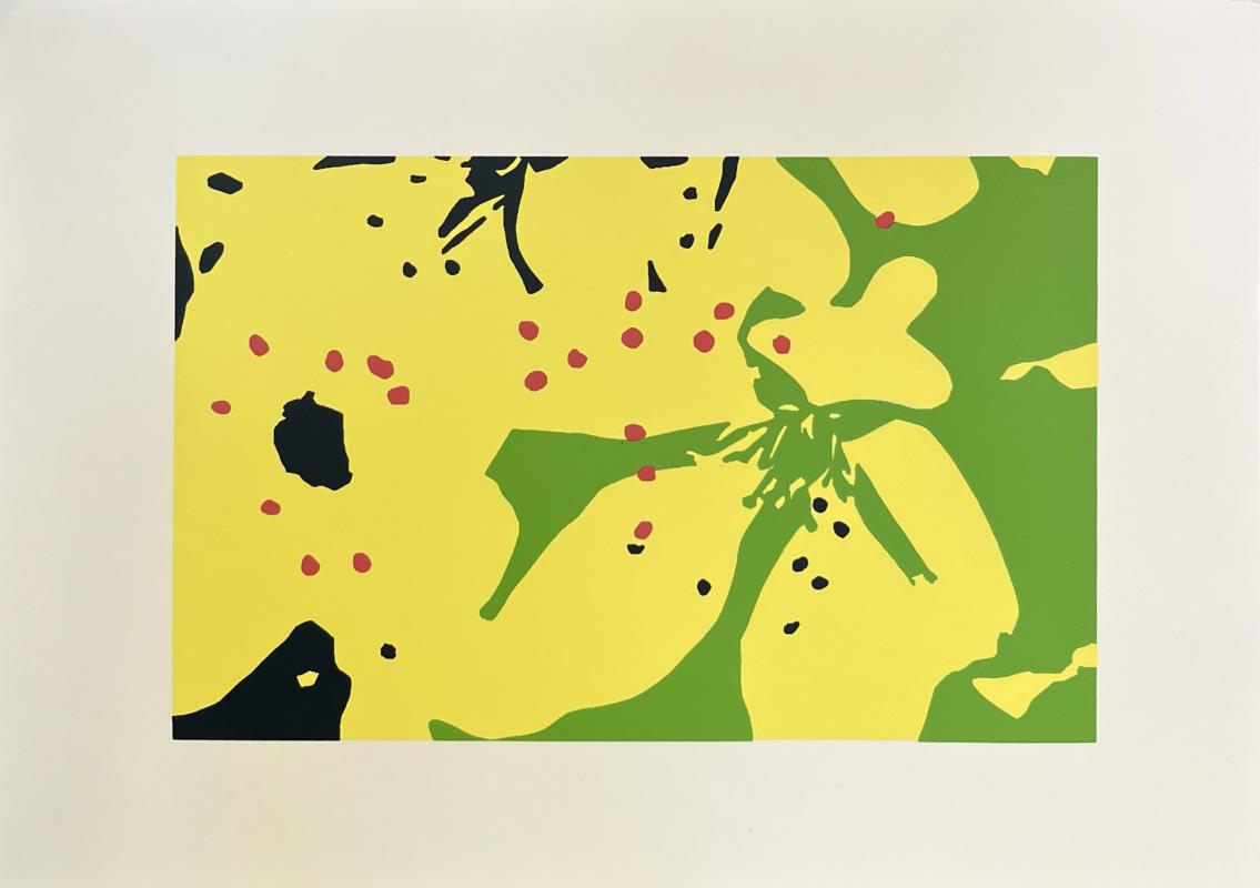 Blossom No.36
