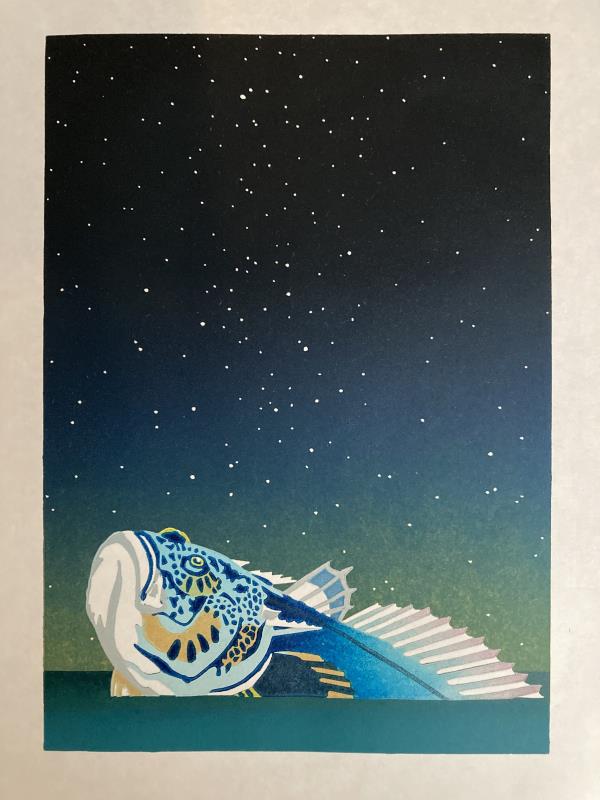 Stargazer