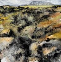 Átök hrauns og mosa