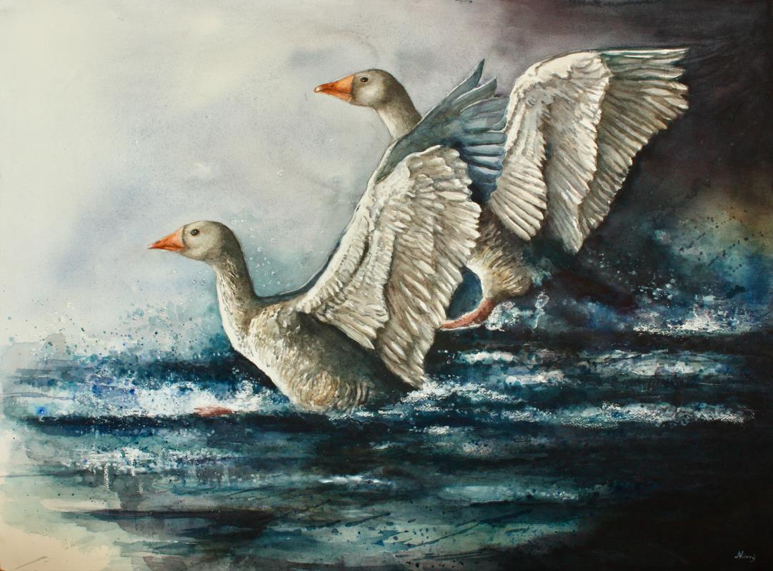 Undir yfirborðinu - Tilbrigði vatnsins