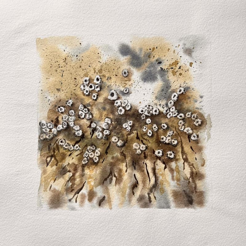 Tilbrigði hafsins - Hrúðurkarlar