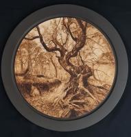 Home of our ancients