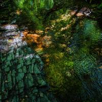 Dartmoor Streams: Bovey