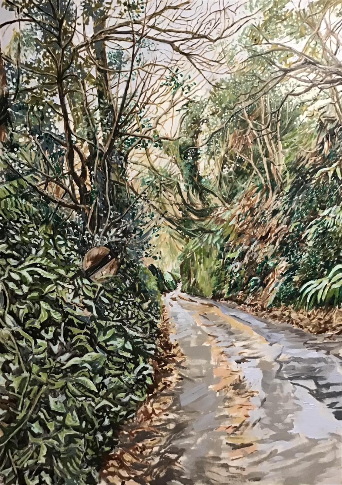 Church Lane, Modbury