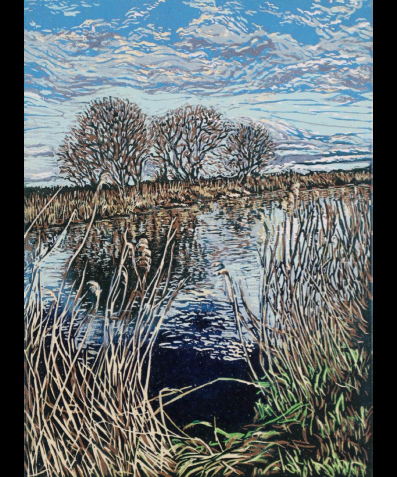 Winter, Topsham Canal