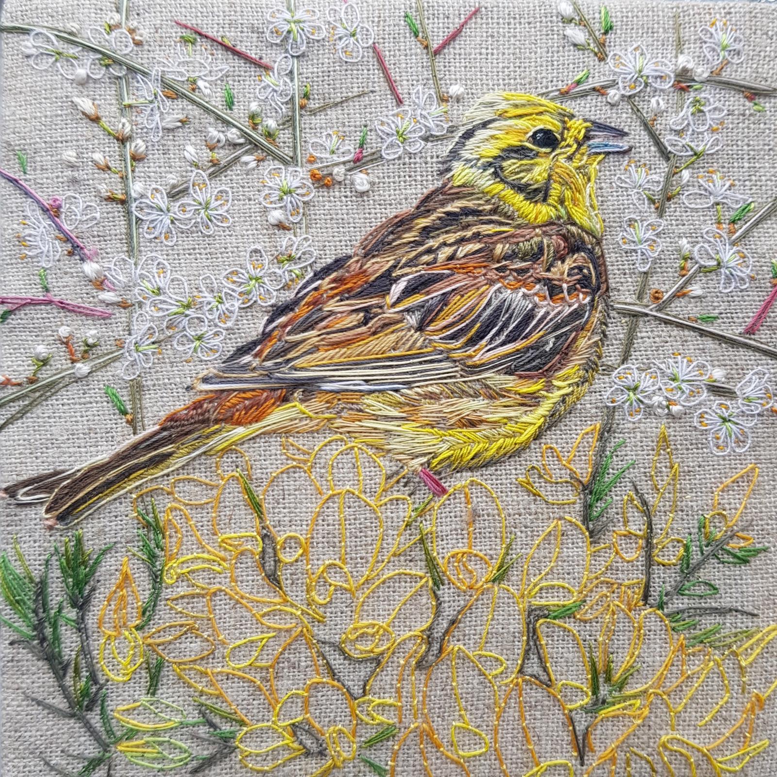 Yellowhammer