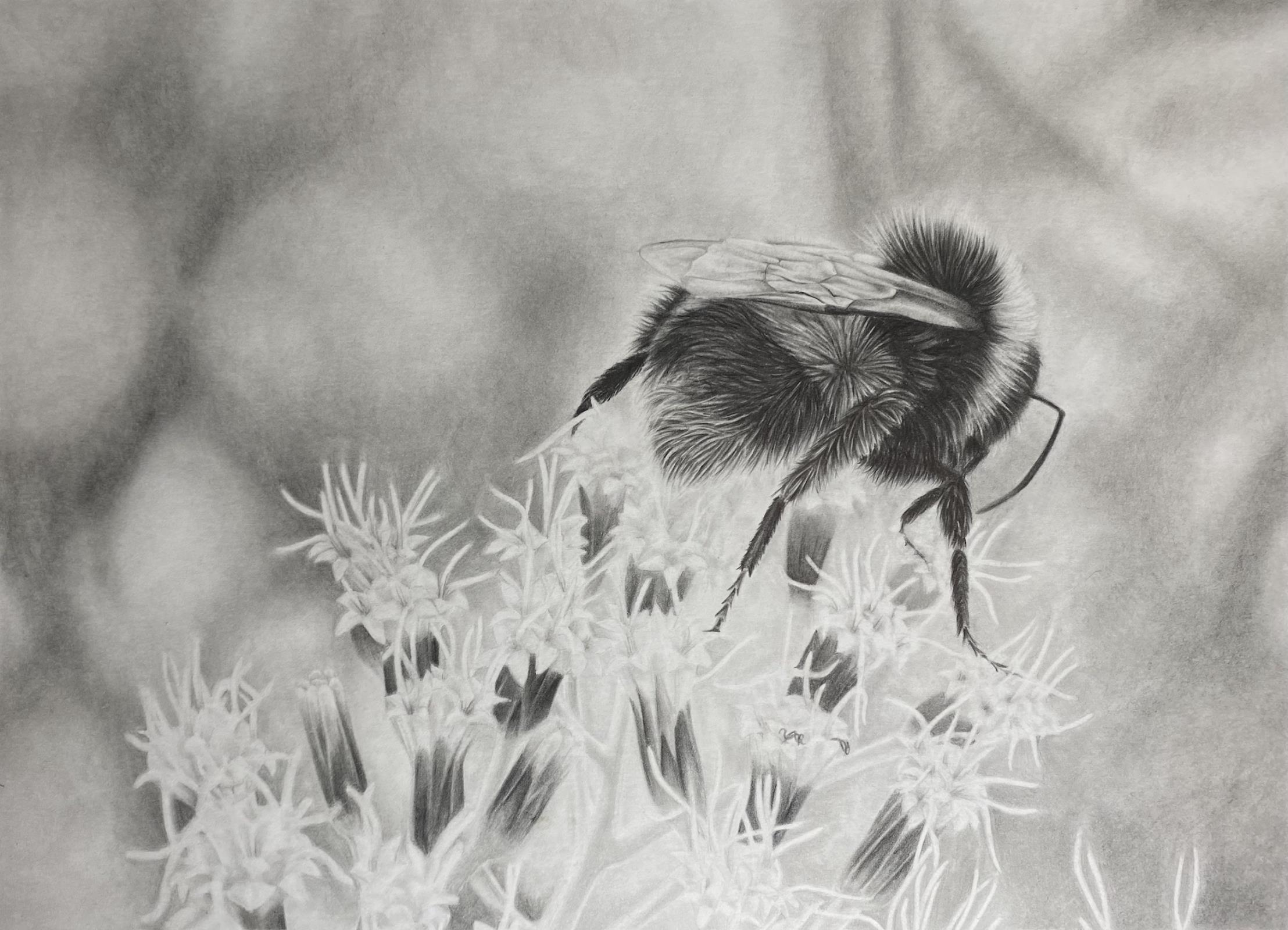 Don't Worry, Bee Happy