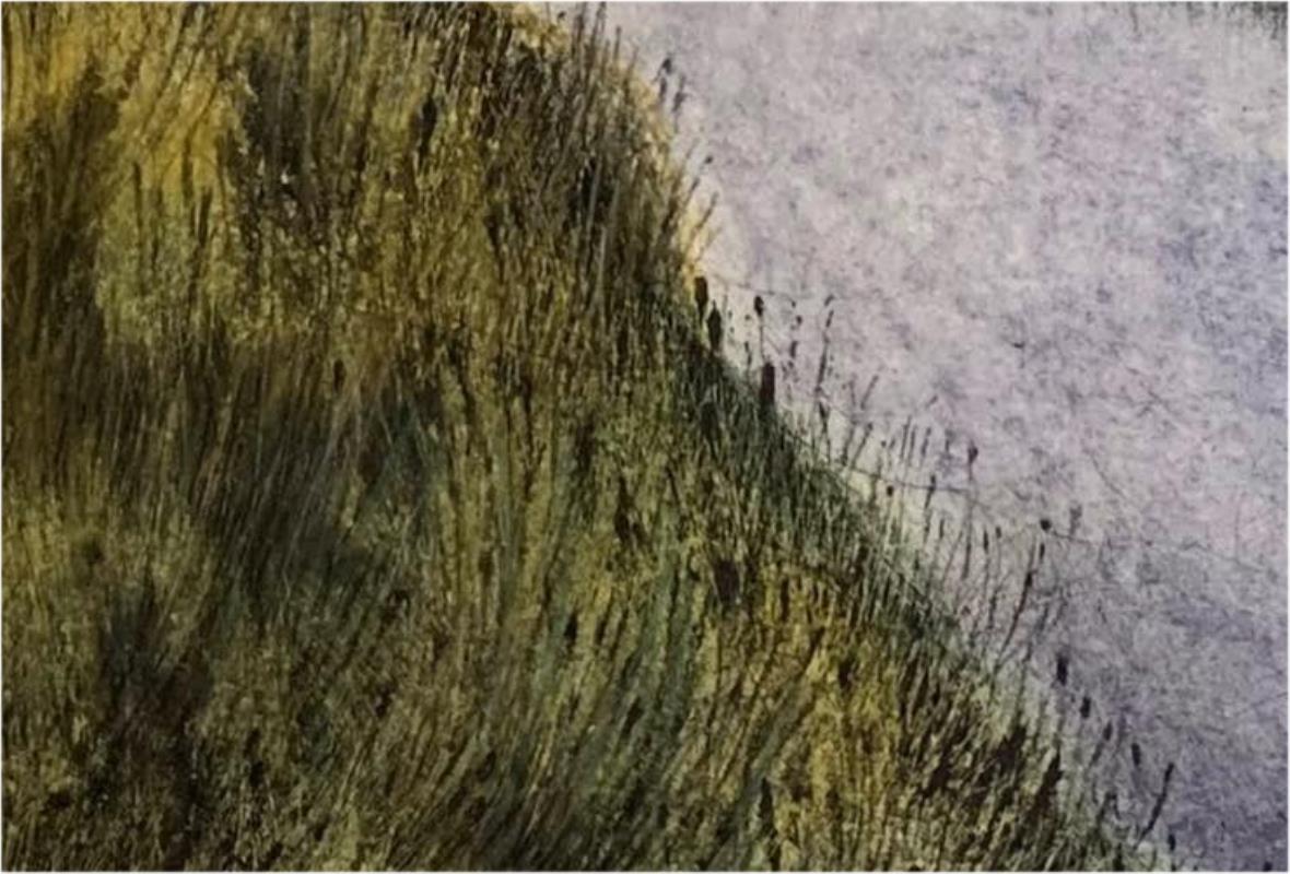 North Teign - Dartmoor