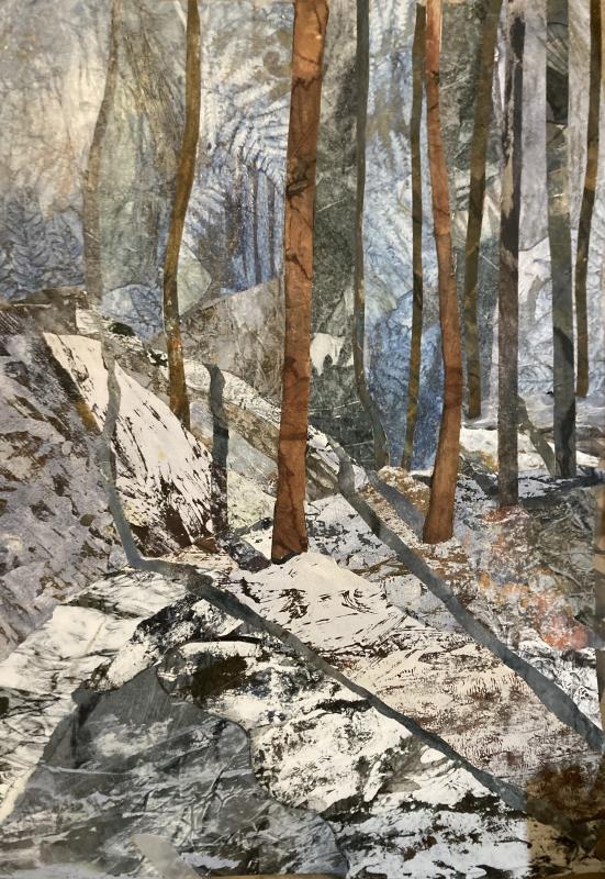 Winter woodland North Yorkshire