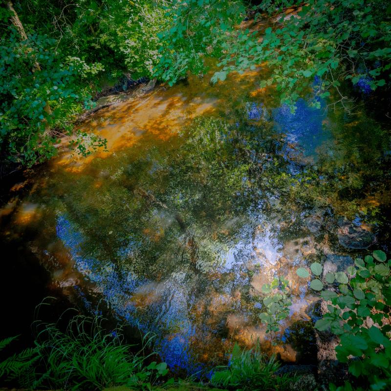 Dartmoor Streams: Ashburn