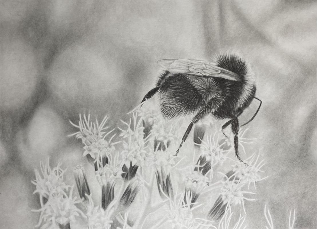 Don't Worry, Bee Happy