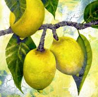 WHEN LIFE GIVES YOU LEMONS