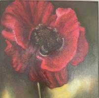 Poppy