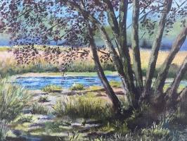 “Early morning on the moorland “