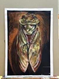 Cicada
