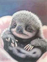 Baby Sloth