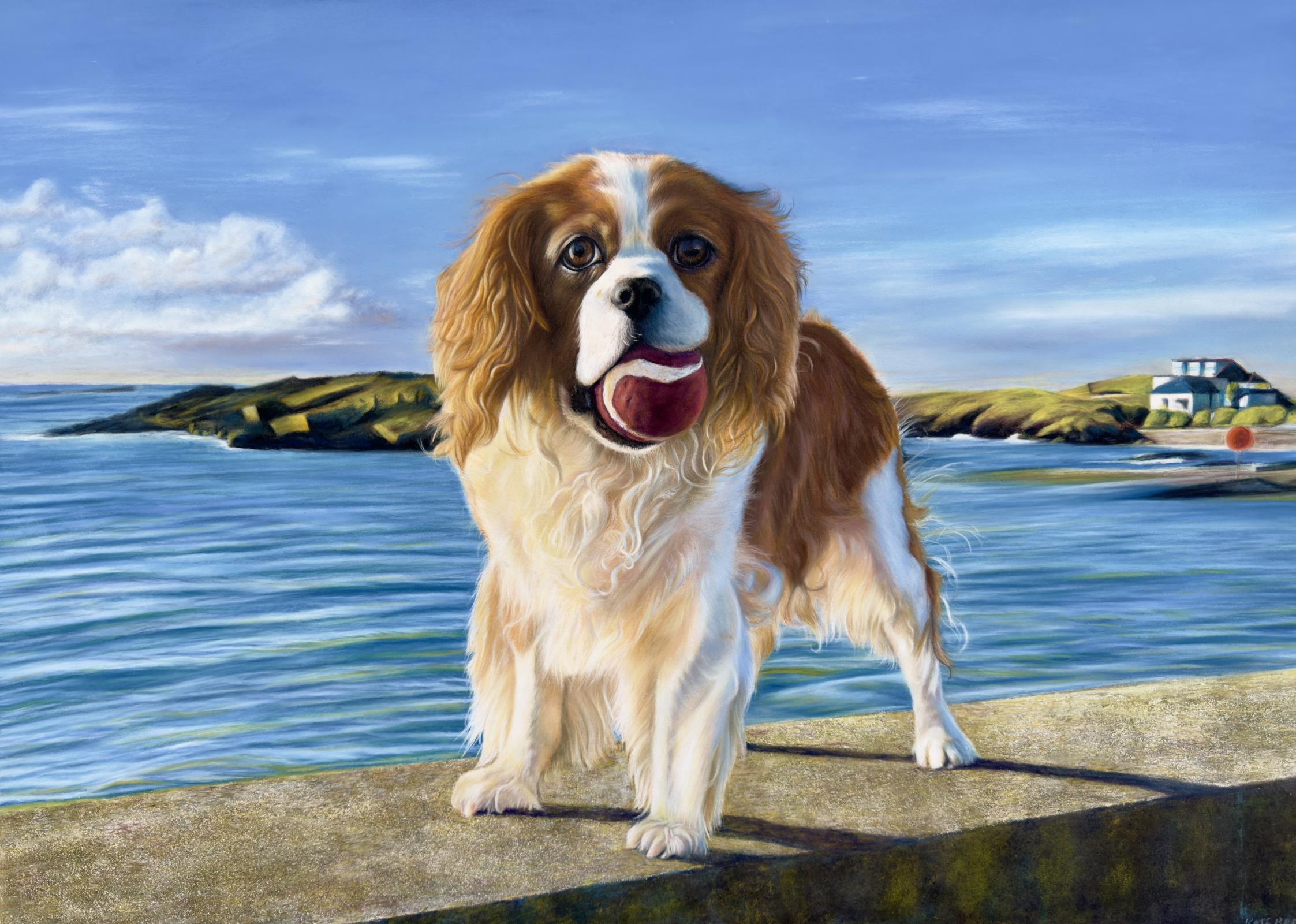Cavalier at Treaddur Bay