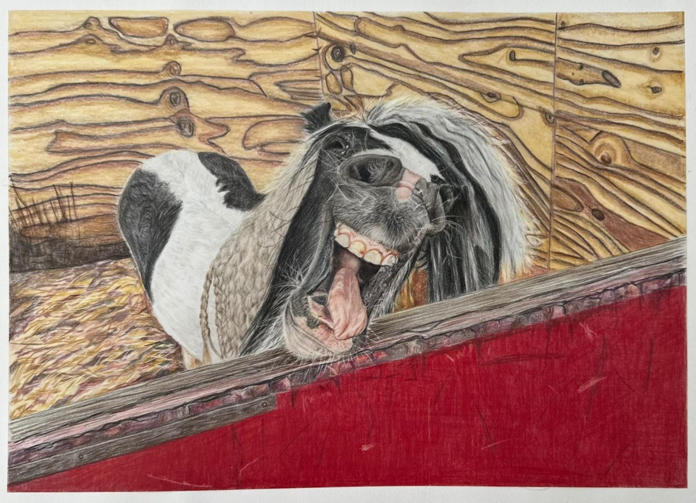 Thunder -  Say Cheese