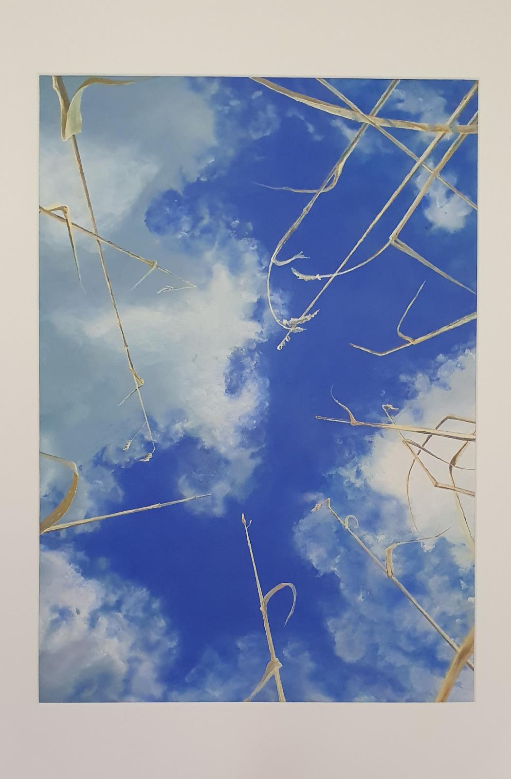 Up at the Allotments 2