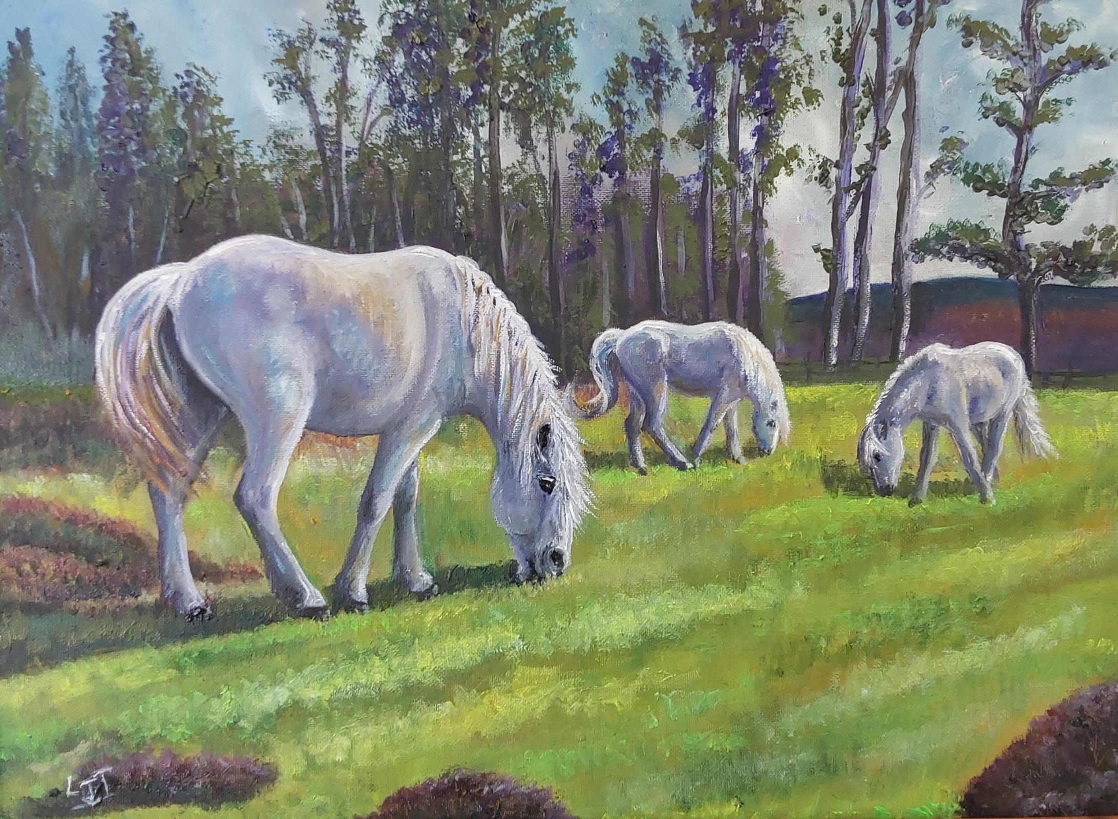 Ponies on The Long Mynd 