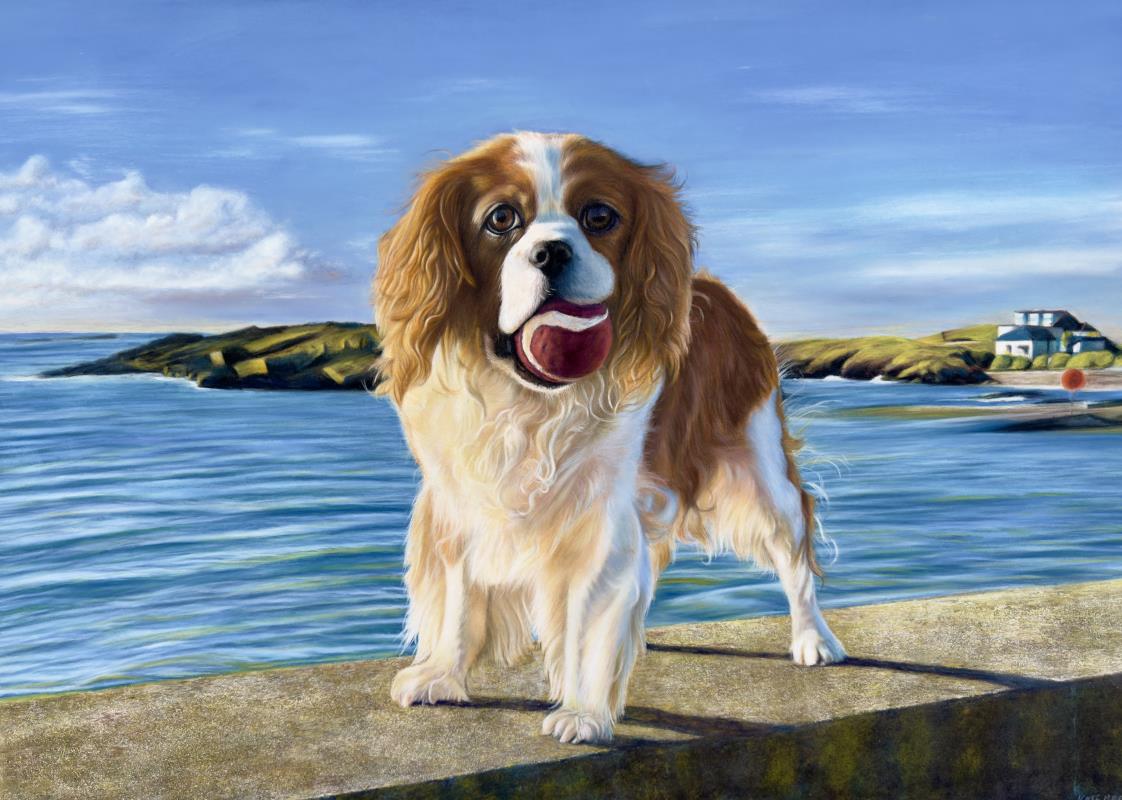 Cavalier at Treaddur Bay