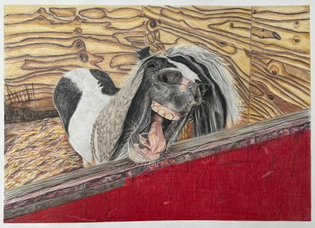 Thunder -  Say Cheese