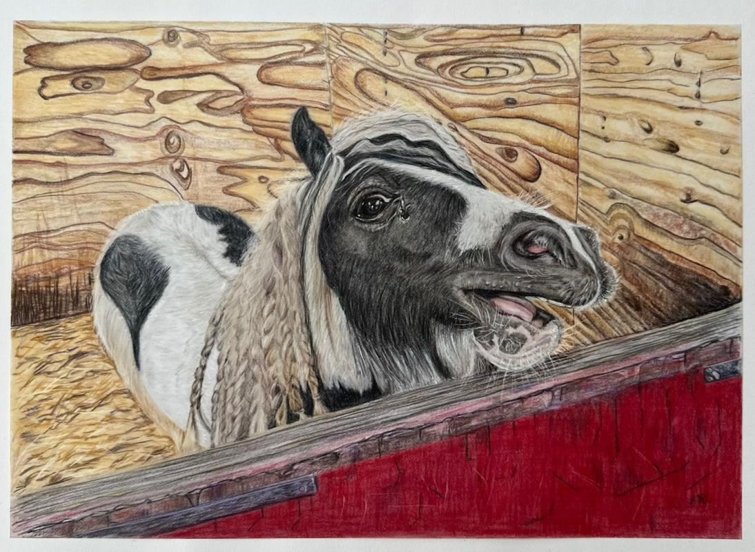 Thunder - Gis a bite