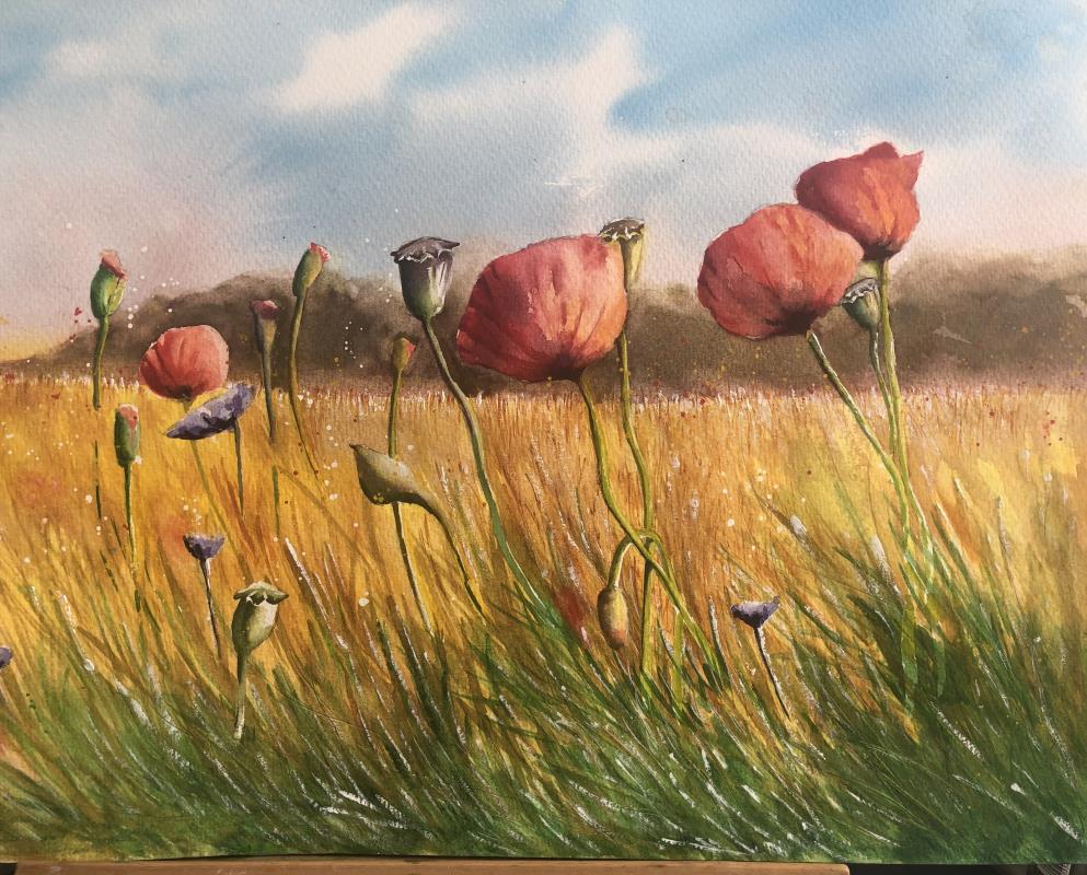 Among the Fields of Gold