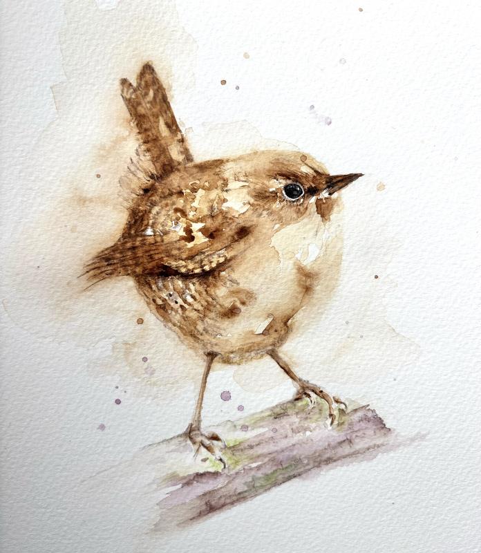 Jenny Wren