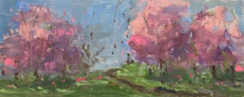 Pink Blossom in Battersea Park