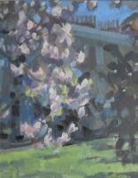 Magnolia - Paultons Square