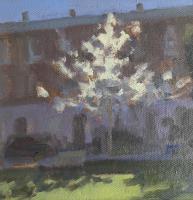 Paultons Square - Late Afternoon Spring Light