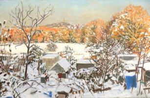 Allotments, Snow, Towards Muswell Hill