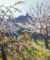 Cherry Trees near Bonnieux, Provence