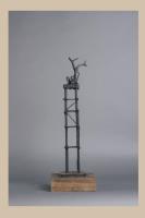 Listening to the Trees