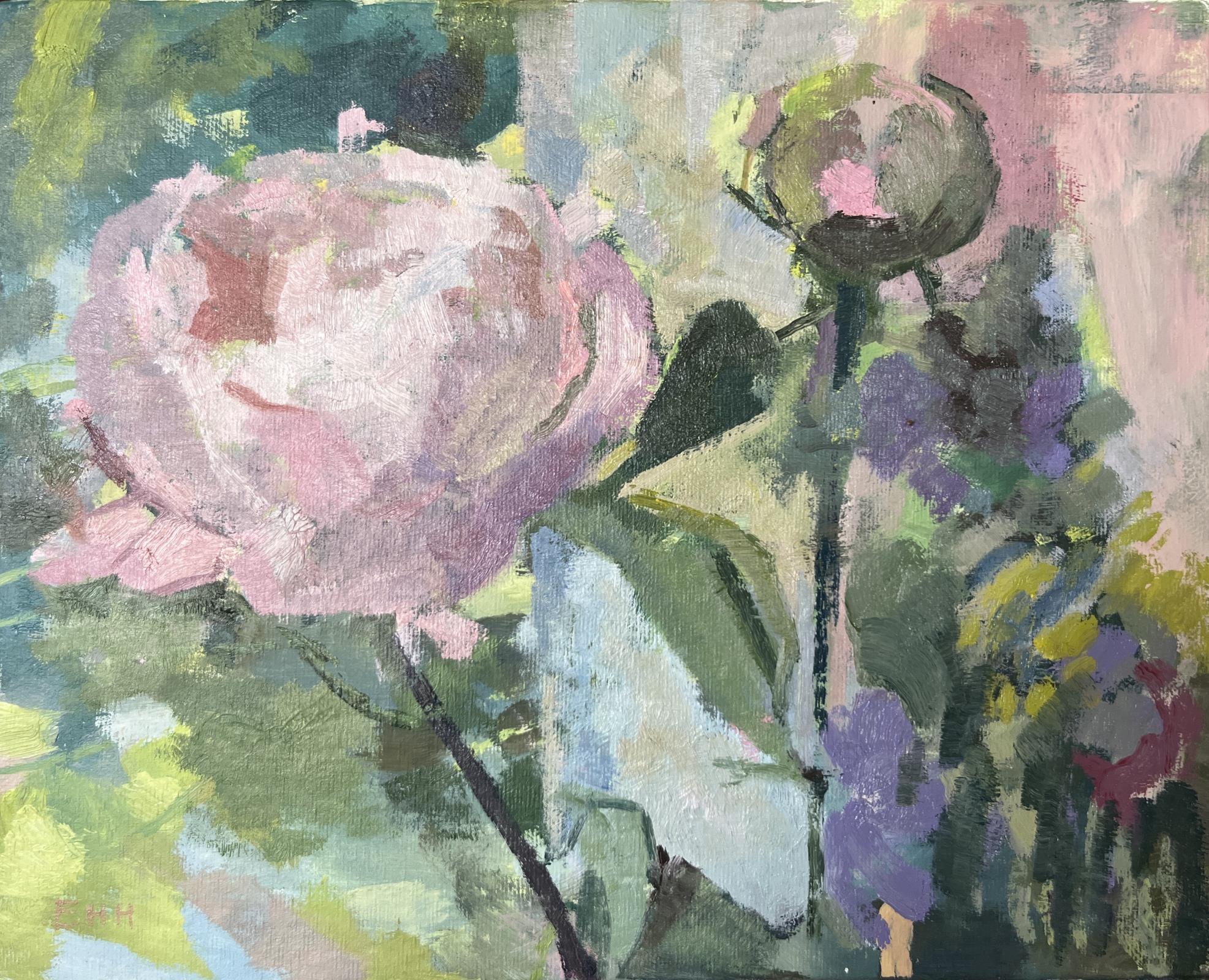 Peony Bloom and Bud