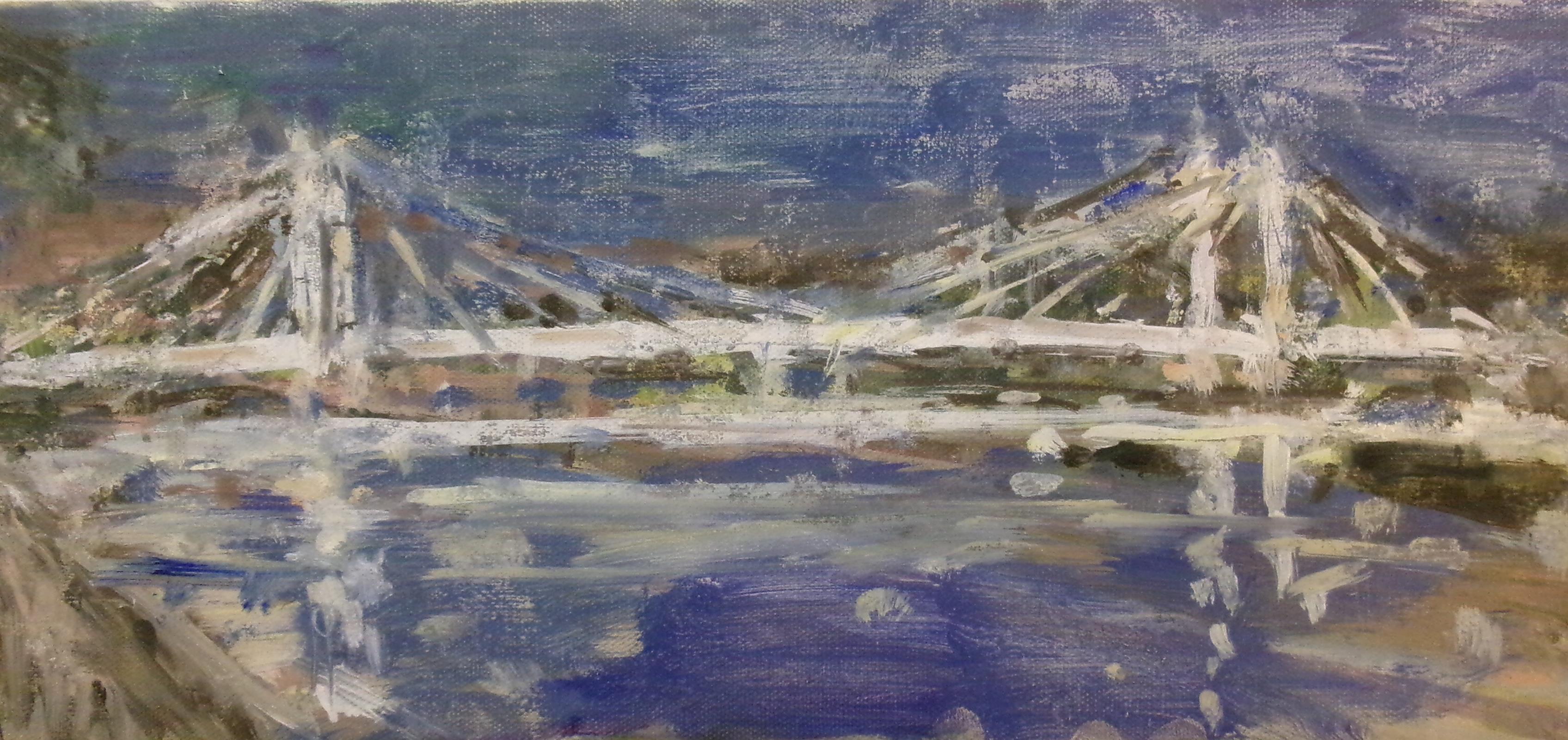 Albert Bridge nocturne